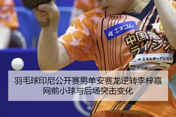 yu-mao-qiu-yin-ni-gong-kai-sai-nan-dan-an-sai-long-ni-zhuan-li-zi-jia-wang-qian-xiao-qiu-yu-hou-chang-tu-ji-bian-hua-2-177.jpg