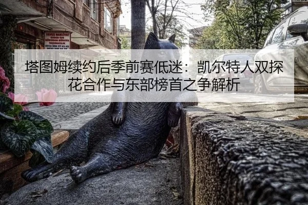 ta-tu-mu-xu-yue-hou-ji-qian-sai-di-mi-kai-er-te-ren-shuang-tan-hua-he-zuo-yu-dong-bu-bang-shou-zhi-zheng-jie-xi-3-505.jpg